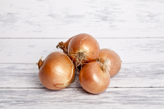 Főzőhagyma