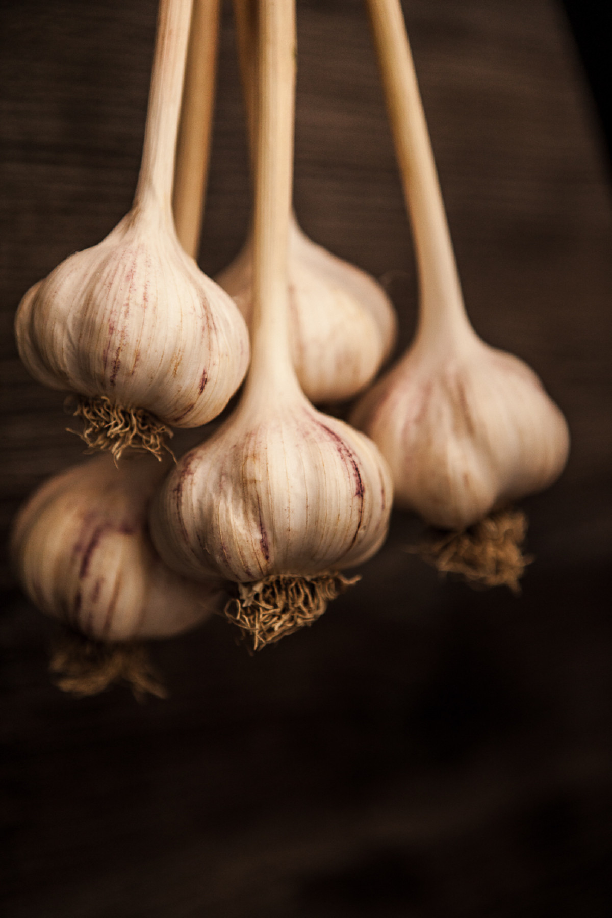 Ismerje meg, hogy miben mások termékeink