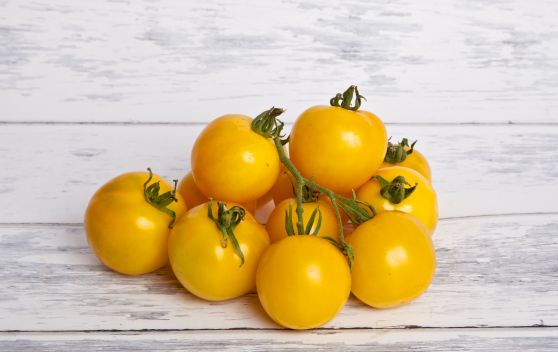 Paradicsom sárga